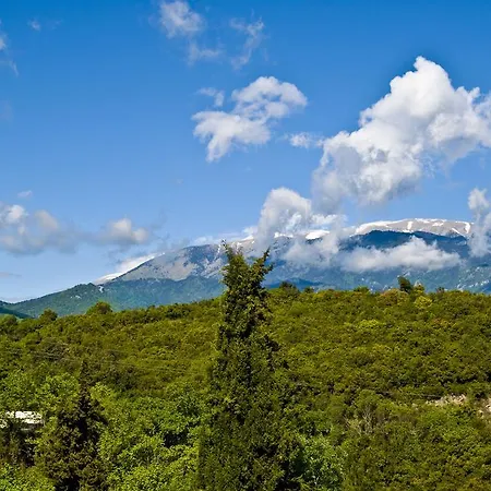 Dioni * Paralia Panteleimonos